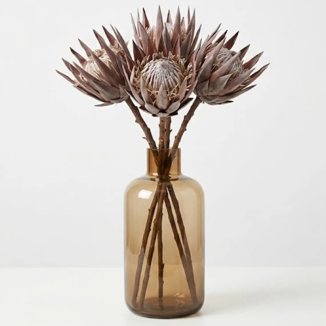 RAMAS Y FLORES - PROTEA SECA (51H CM) 2