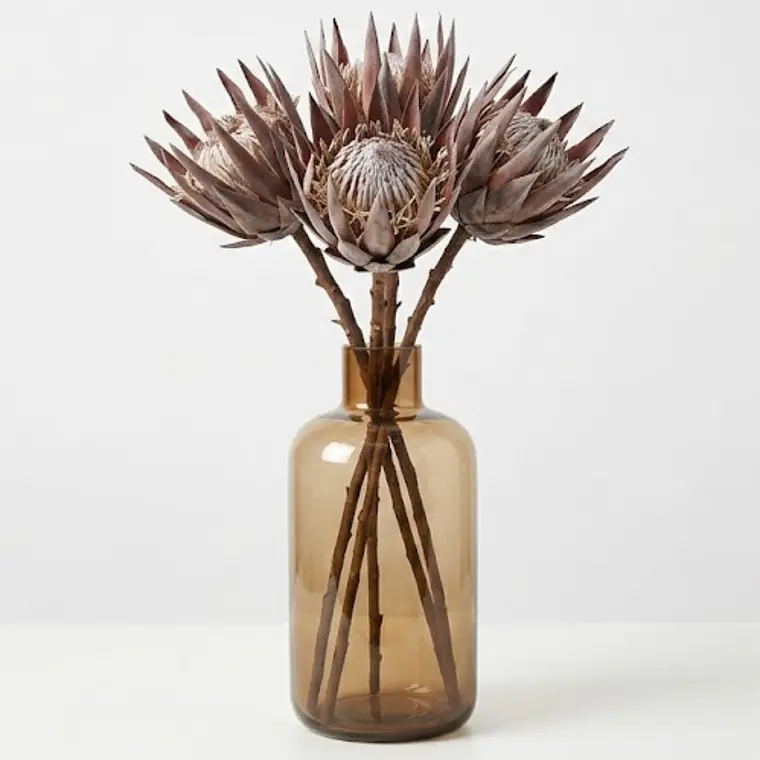 RAMAS Y FLORES - PROTEA SECA (51H CM) 2