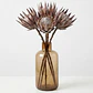 RAMAS Y FLORES - PROTEA SECA (51H CM) - Miniatura 2