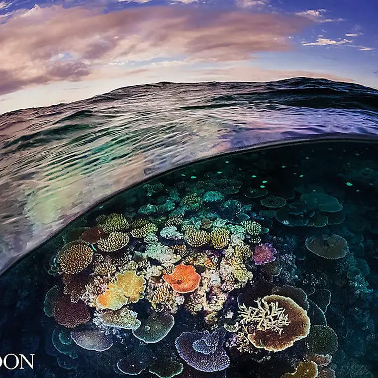 TWO WORLDS: ABOVE AND BELOW THE SEA – DAVID DOUBILET (37 X 27 CM) 1