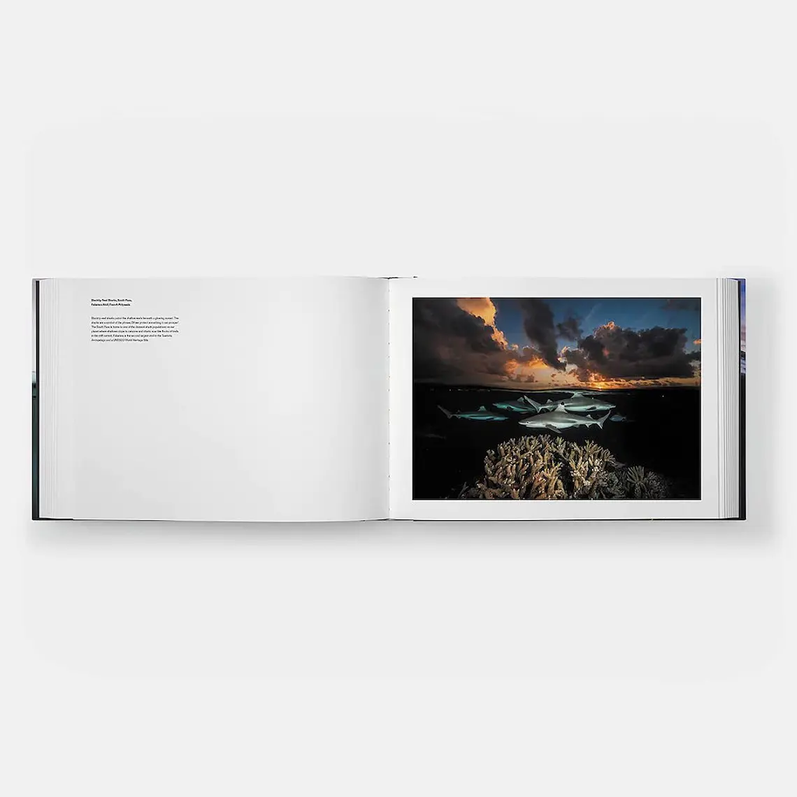 TWO WORLDS: ABOVE AND BELOW THE SEA – DAVID DOUBILET (37 X 27 CM) 2