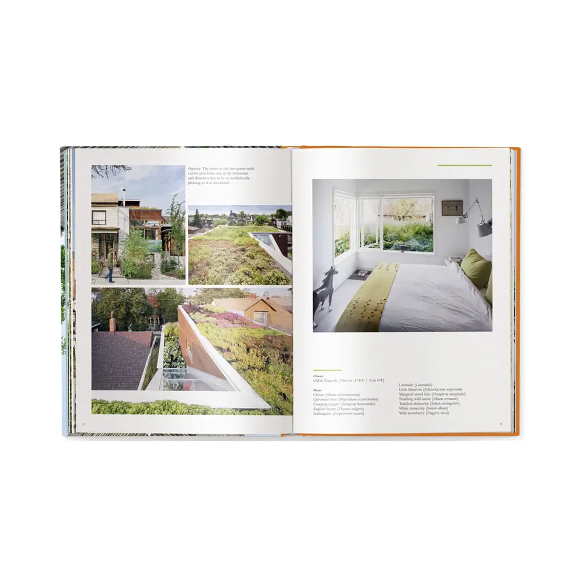 LIBRO - LIVING ROOFS, URBAN GARDENS (30.5L X 20A X 2H CM) 2