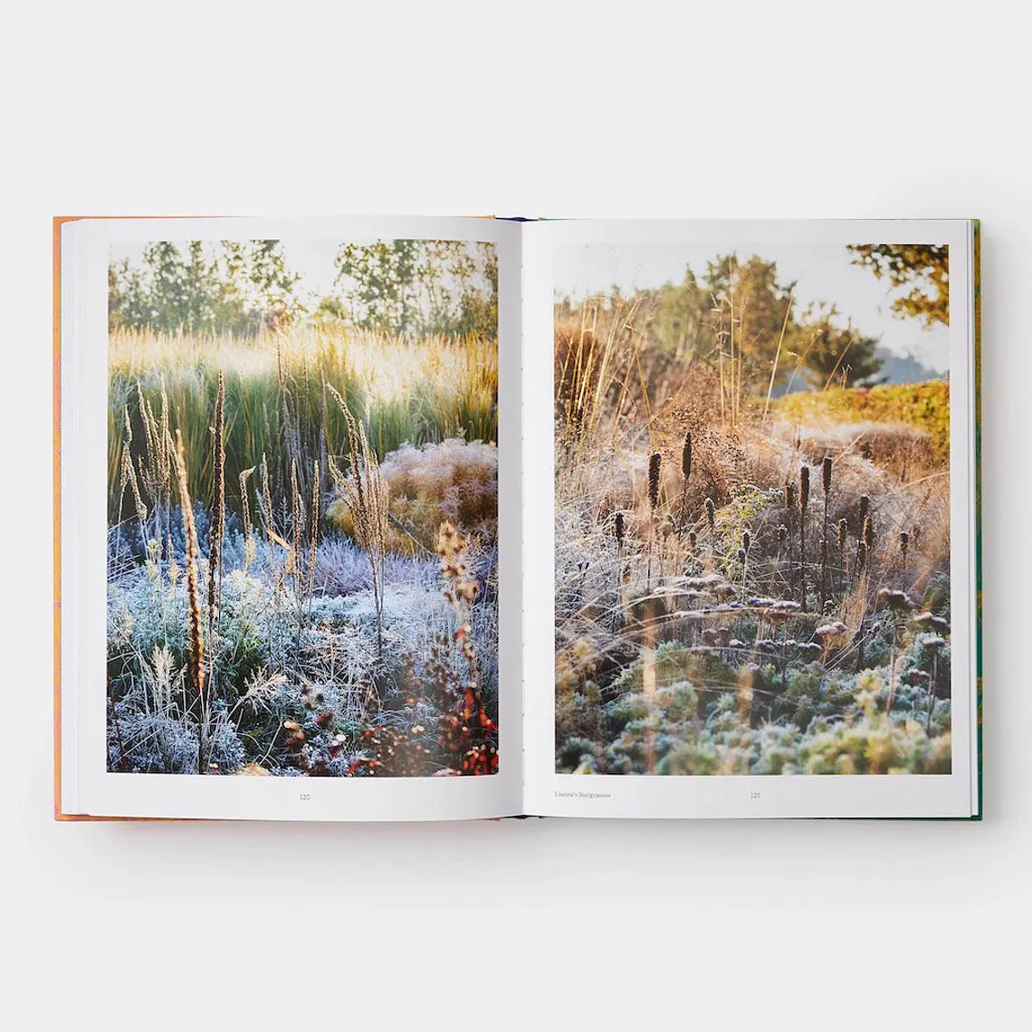 WILD: THE NATURALISTIC GARDEN | NOEL KINGSBURY & CLAIRE TAKACS (30 X 22 CM) 4