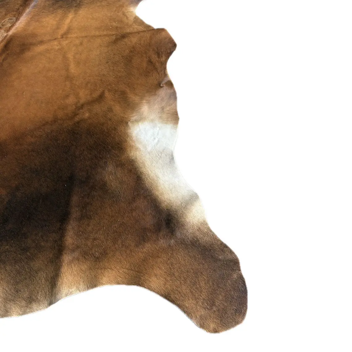 ALFOMBRA - CUERO DE VACA CAMEL (200L X 190A CM) 2