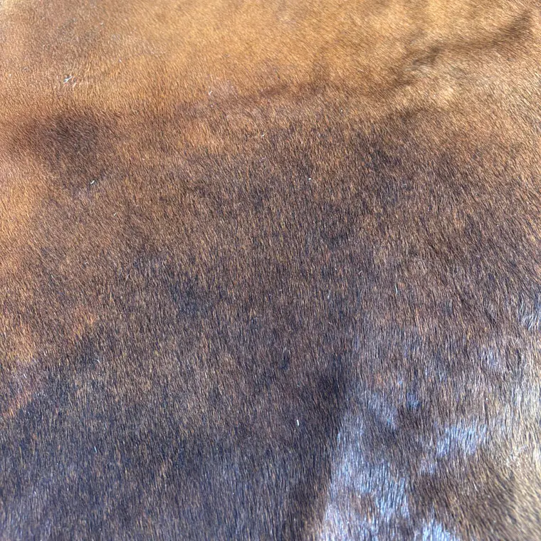 ALFOMBRA - CUERO DE VACA CAMEL (200L X 190A CM) 4