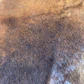 ALFOMBRA - CUERO DE VACA CAMEL (200L X 190A CM) - Miniatura 4