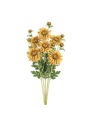 RAMA MARGARITAS OCRE (70H CM)