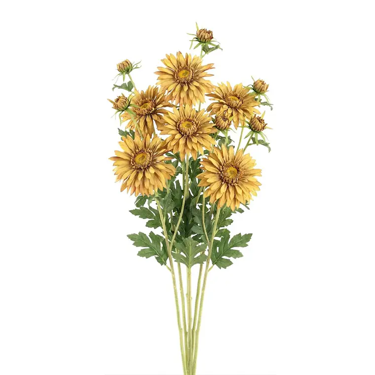 RAMA MARGARITAS OCRE (70H CM) 2