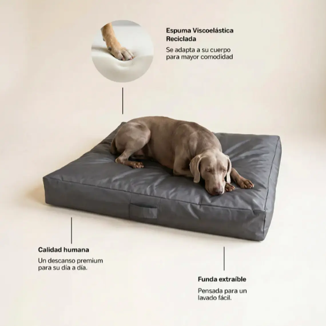 CAMA MASCOTAS LONA PUF - GRIS OSCURO S-M (60 × 80CM) 3
