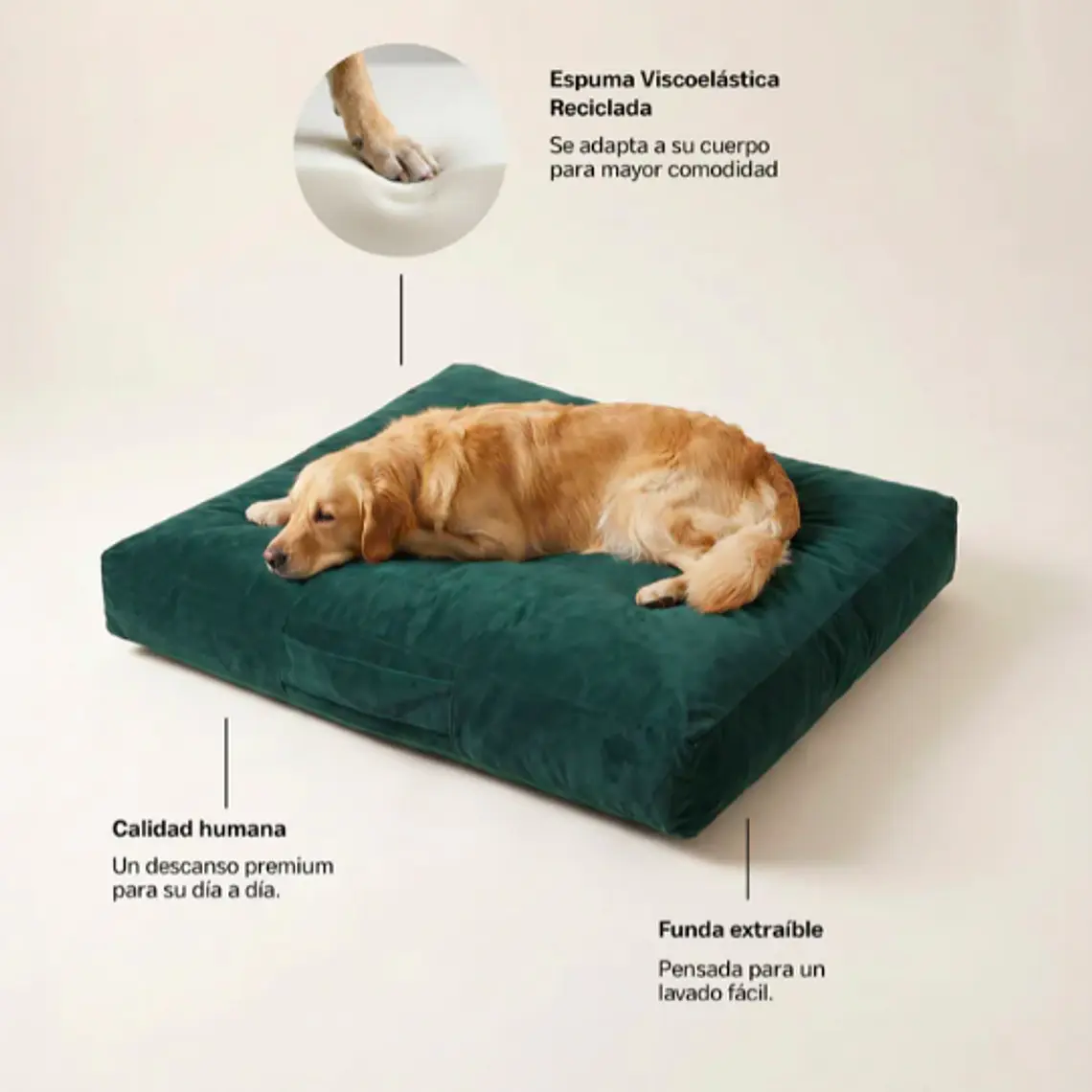 CAMA MASCOTAS TERCIOPELO PUF - VERDE S-M (60 × 80CM) 3