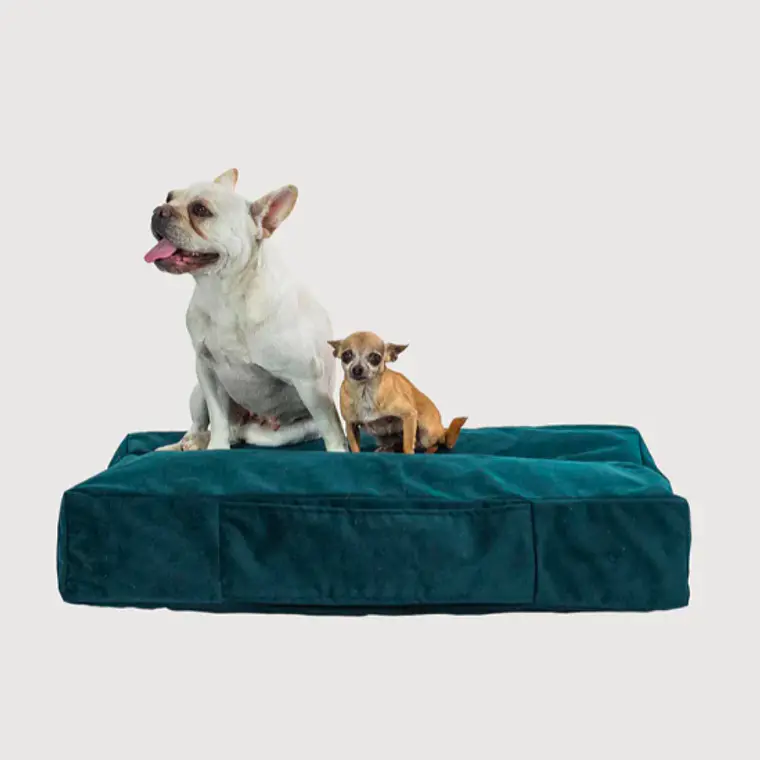 CAMA MASCOTAS TERCIOPELO PUF - VERDE S-M (60 × 80CM) 4