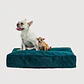 CAMA MASCOTAS TERCIOPELO PUF - VERDE S-M (60 × 80CM) - Miniatura 4