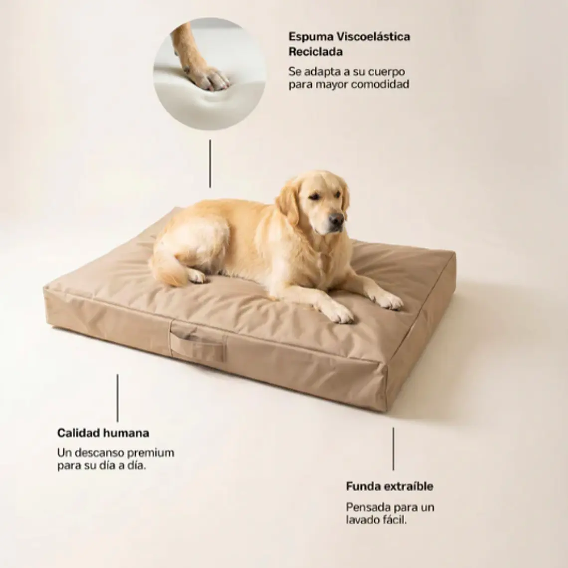 CAMA MASCOTAS LONA PUF - ARENA S-M (60 X 80 CM) 3