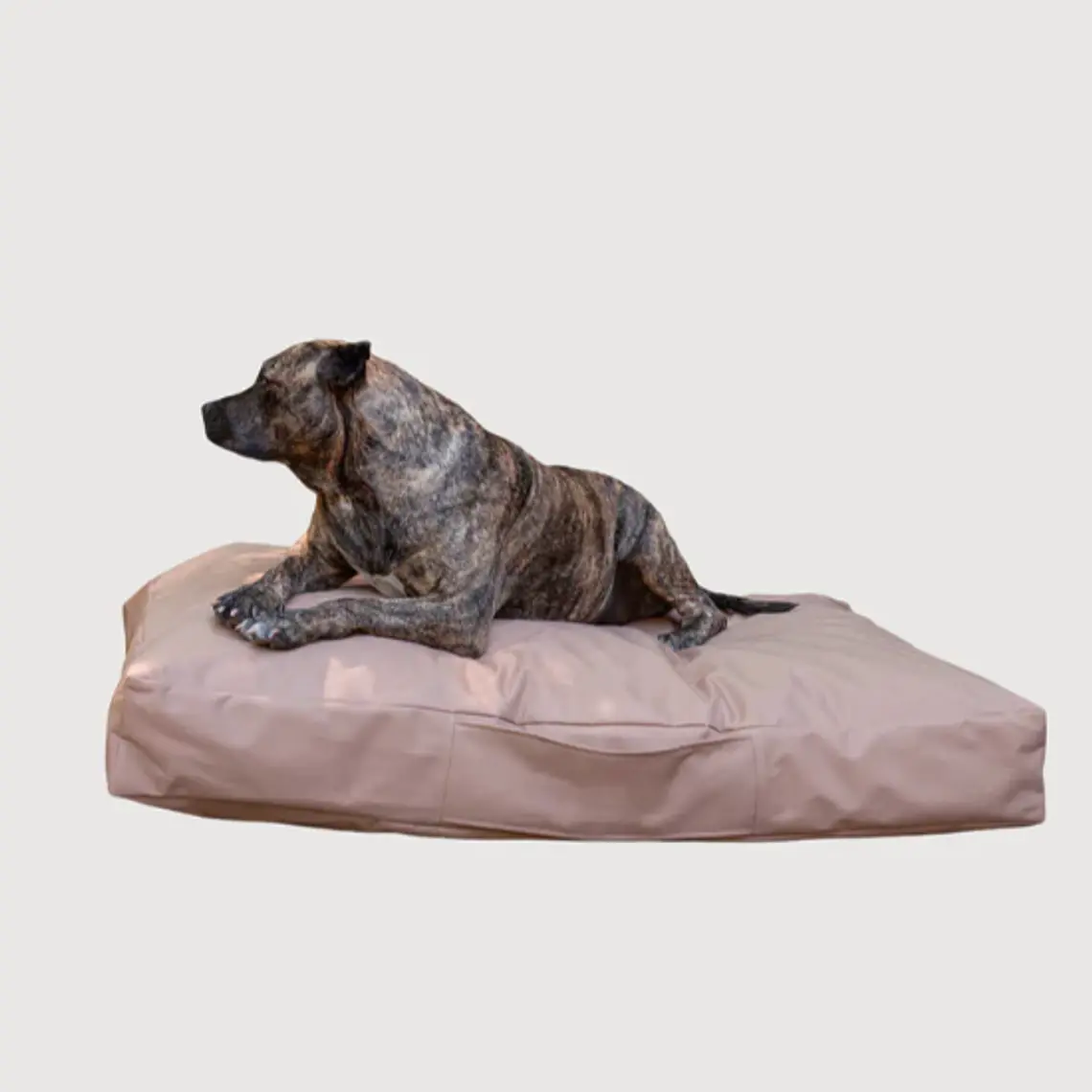 CAMA MASCOTAS LONA PUF - ARENA S-M (60 X 80 CM) 4