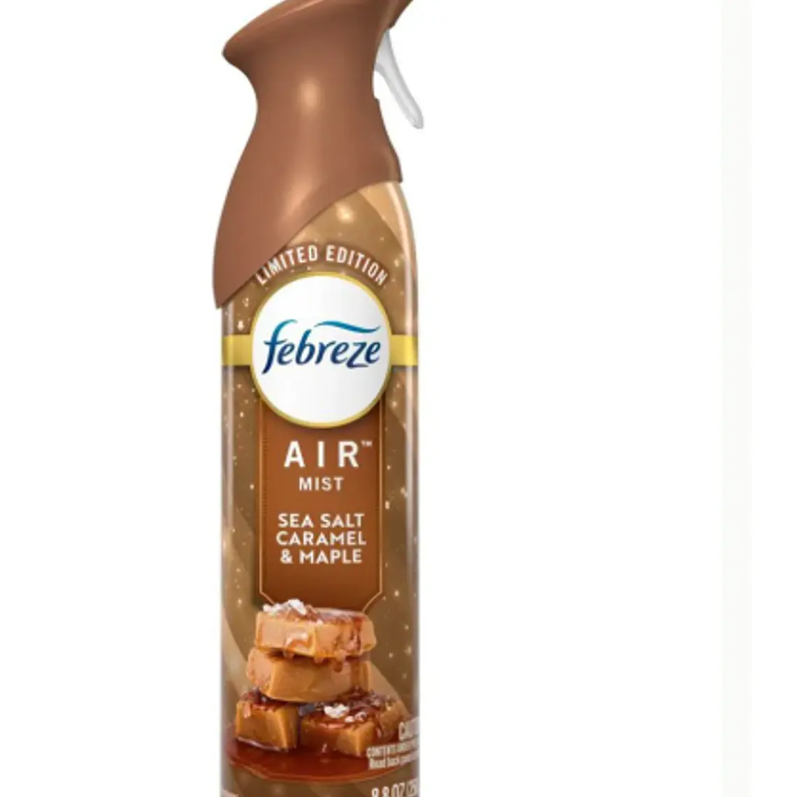 DESODORANTE AMBIENTAL FEBREZE SEA SALT CARAMEL & MAPLE (250GR)  1