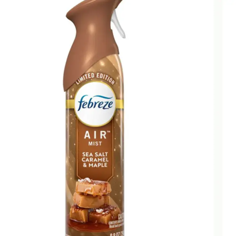 DESODORANTE AMBIENTAL FEBREZE SEA SALT CARAMEL & MAPLE (250GR)  1