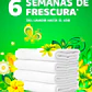DETERGENTE LÍQUIDO GAIN ORIGINAL 107 LOADS (4.55L) - Miniatura 4