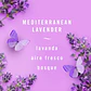 DESODORANTE AMBIENTAL Y AROMATIZANTE FEBREZE MEDITERRANEAN (250G) - Miniatura 2