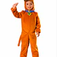 PACK DISFRACES NIÑO 4-8 AÑOS (INCLUYE 5 DISFRACES ALEATORIOS EN DISEÑO Y TALLA) - Miniatura 2