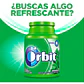 DISPLAY 6 UNIDADES CHICLE ORBIT HIERBABUENA 64 G | $2.998 POR UNIDAD | VENCE: 07/12/2026 - Miniatura 3