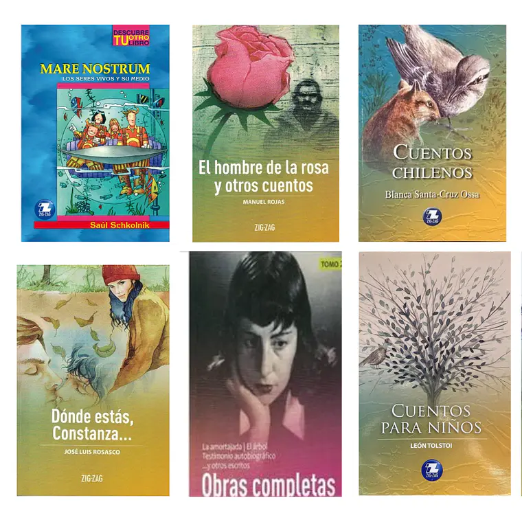 PACK LECTURA ESCOLAR 2 - 10 LIBROS (EDAD RECOMENDADA 10+)  1