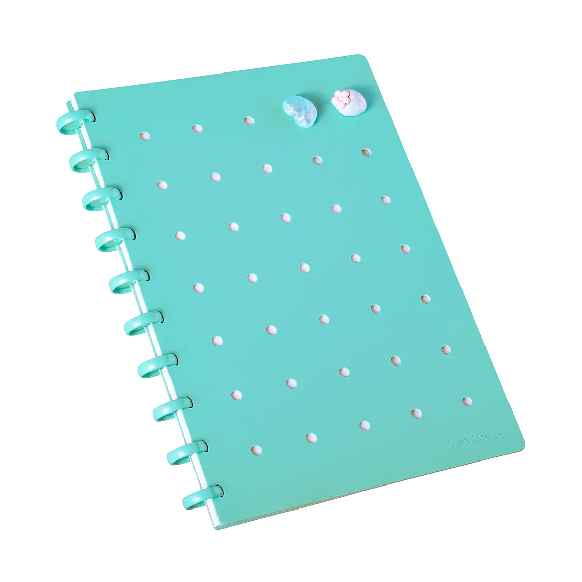 CUADERNO C/ PINES ANILLADO B5 CALIPSO (20 x 26 x 2,2 cm) 1