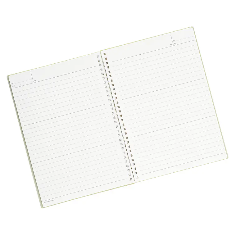 CUADERNO B5 VERDE PASTEL ANILLADO (18,4 x 25,7 x 1,2 cm) 2