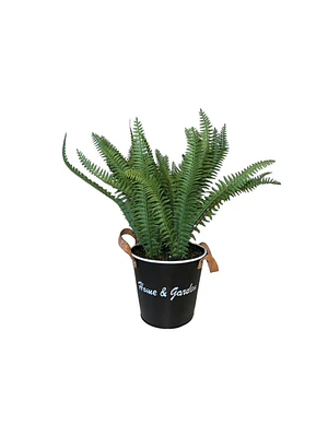 HELECHO CON MACETERO (30 CM)