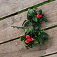 GARDENIA ROJA RAMA DECORATIVA (30 CM) CON PROTECCIÓN UV - Miniatura 2