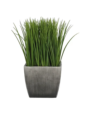 GRASS VERDE CON MACETERO (30 CM)