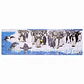  PUZZLE PINGÜINO + FIGURAS (108 PIEZAS) - Miniatura 4