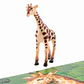 PUZZLE JIRAFA + FIGURA (36 PIEZAS) - Miniatura 4