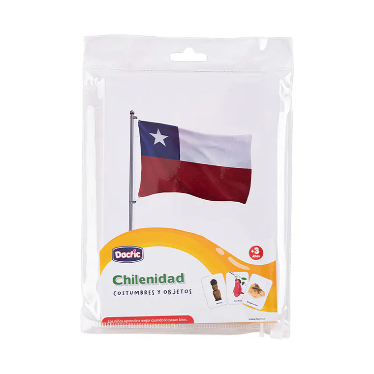 LÁMINAS CHILENIDAD (20 LÁMINAS) 1