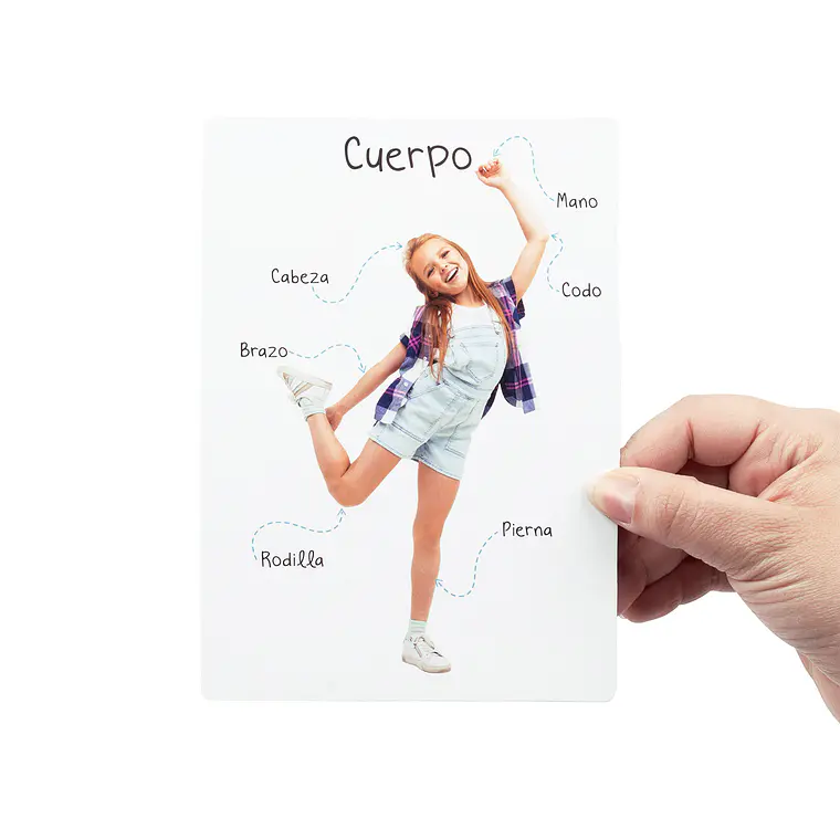  LÁMINAS PARTES DEL CUERPO (56 LÁMINAS) 5
