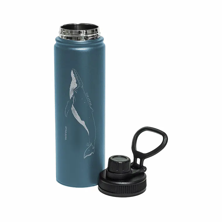 BOTELLA TÉRMICA AZUL BALLENA JOROBADA (690 ML)  3