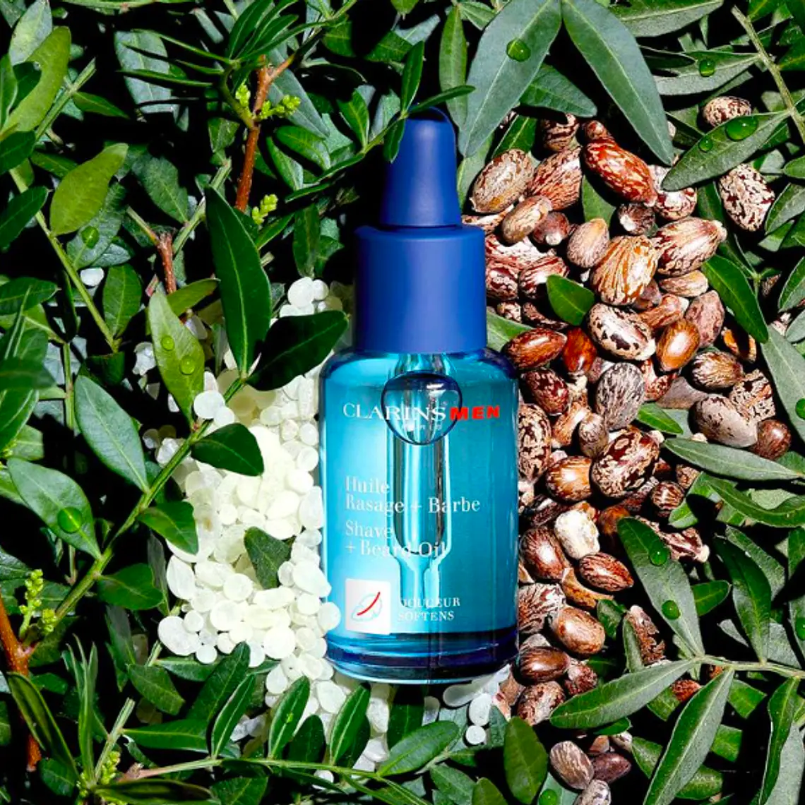 CLARINS - MEN SHAVE AND BEARD OIL (30 ML) 6