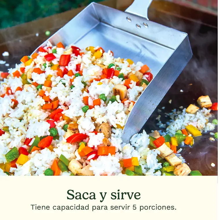 PALA PARA COCCIÓN A LA PLANCHA  3