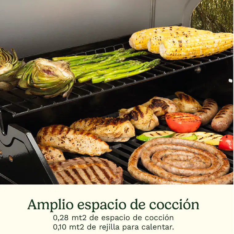 PARRILLA A GAS DE 4 QUEMADORES 10