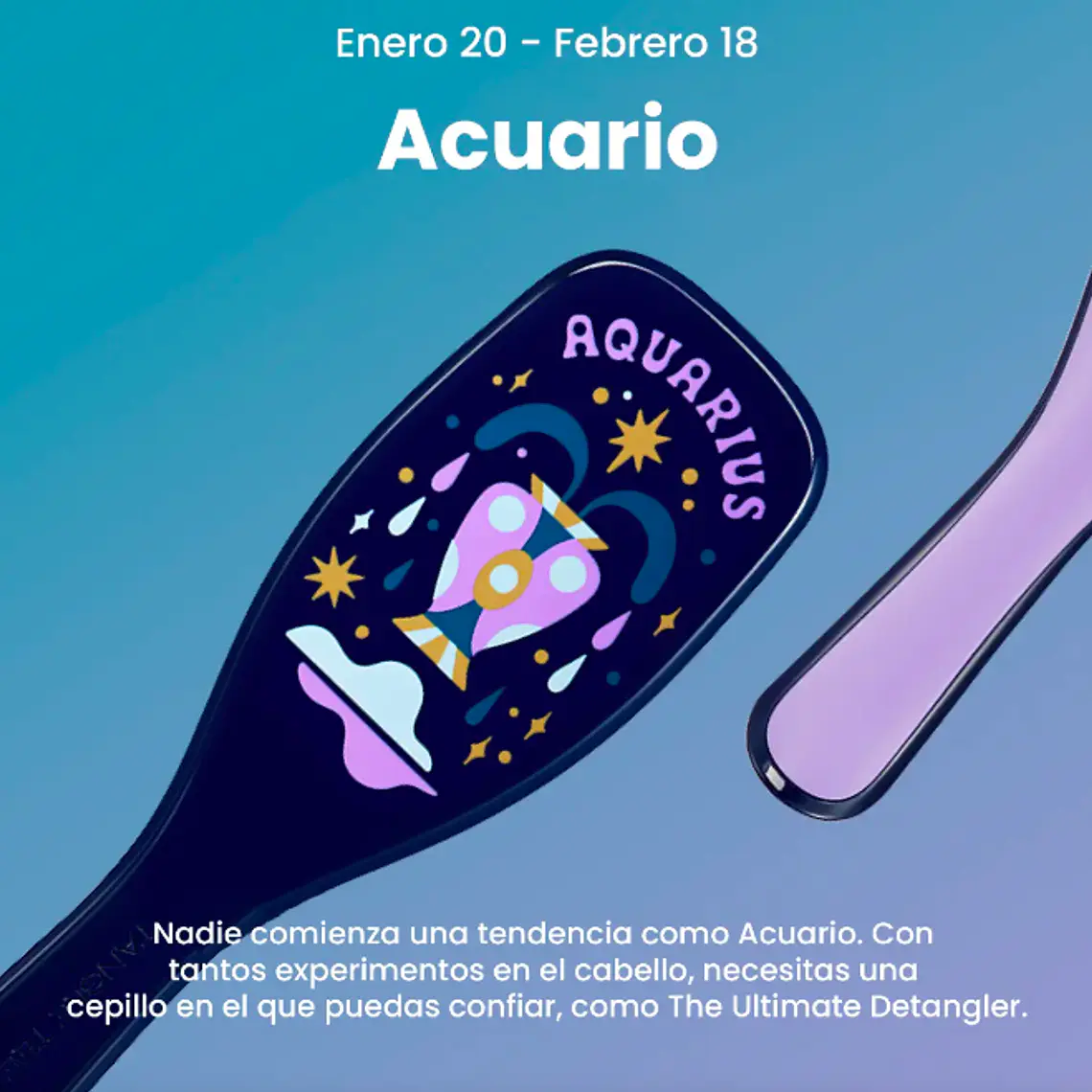 CEPILLO DE PELO TANGLE TEEZER ZODIACO ACUARIO 3