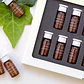 SUERO CONCENTRADO ANTIEDAD I MATCHA INTENSE RECOVERY PROTEOGLYCANS PLUS 15 UNIDADES (VENCIMIENTO: FEBRERO 2027) - Miniatura 7