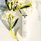CREMA FACIAL HIDRATANTE I MATCHA PERFECT ADVANCED SHIELD 50ML (VENCIMIENTO: OCTUBRE 2027) - Miniatura 2