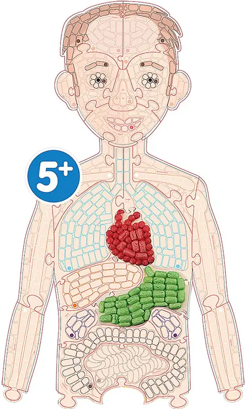 Playmais Anatomy puzzle "Mi cuerpo" Eduline Mosaic