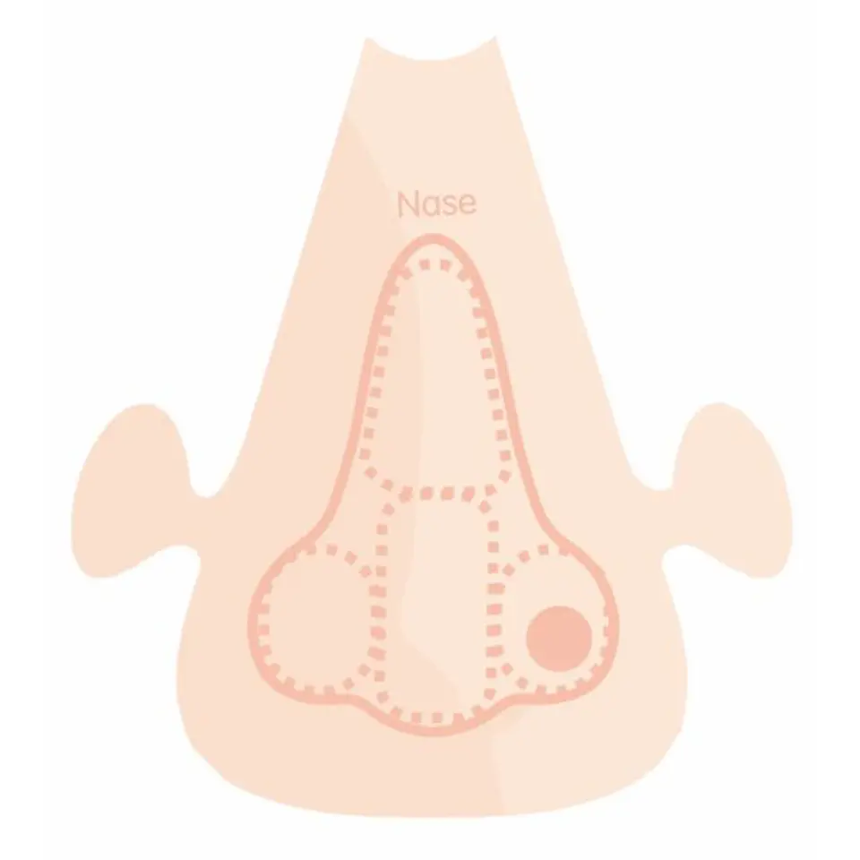 Playmais Anatomy puzzle 
