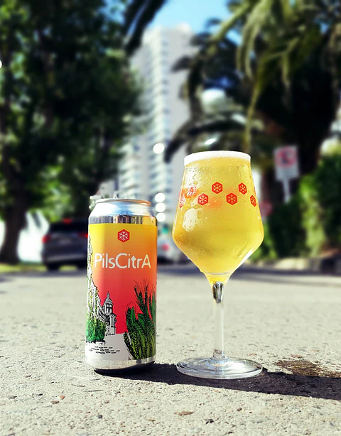 PilsCitra 4,6% ABV Pack