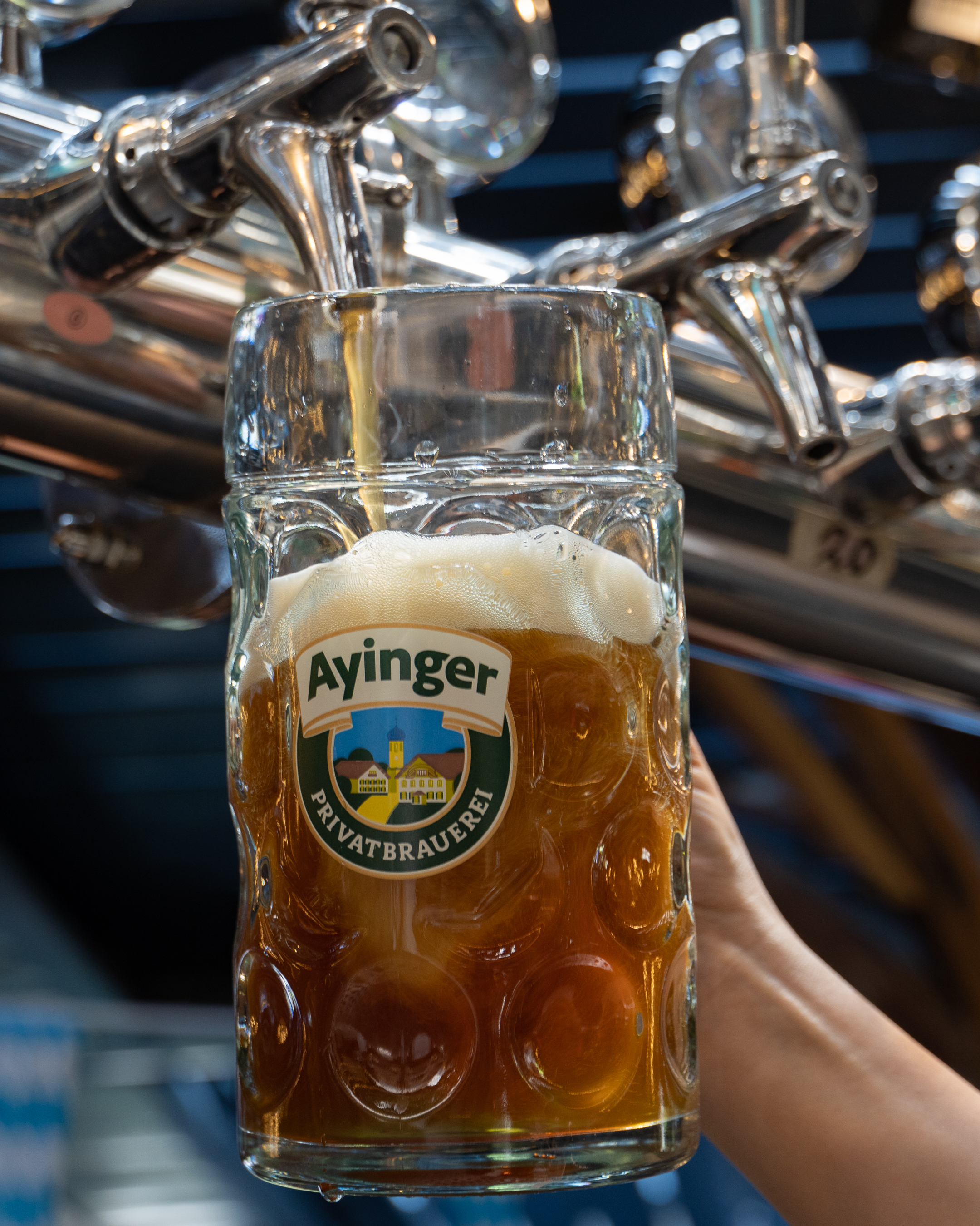 Oktoberfest en Quercus Santiago