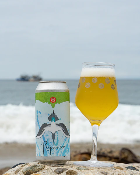 Piquero 4% ABV Pack 