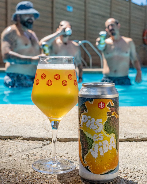 Pils es Vida 6-pack