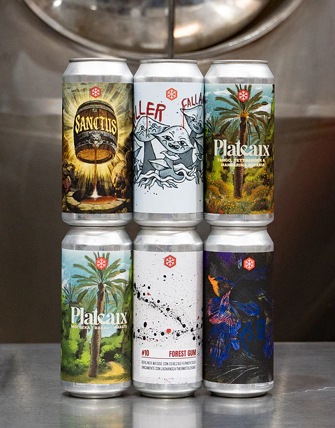 Explorador 6-pack