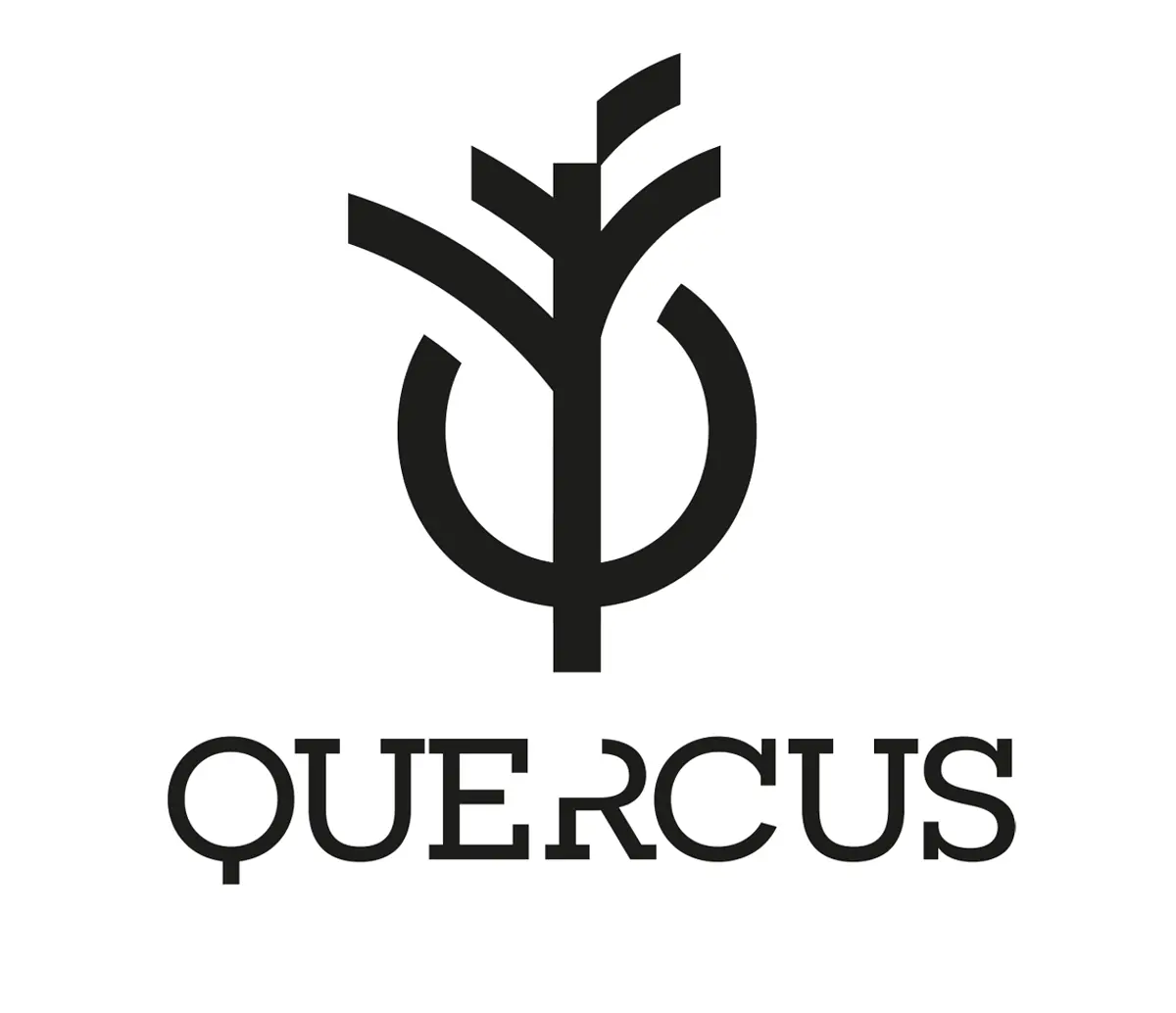 Título del banner