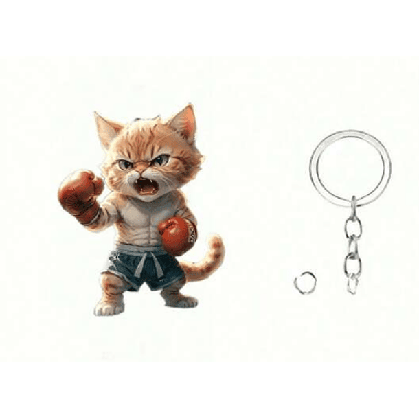 Llavero de gato  4